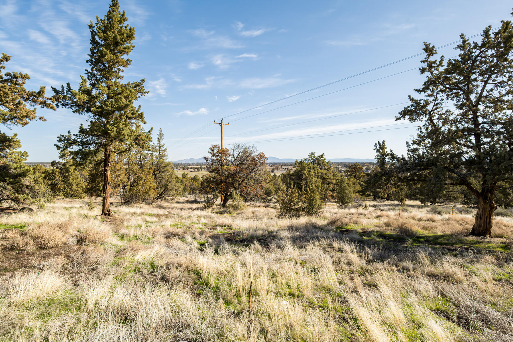 Whispering Pines - Residential