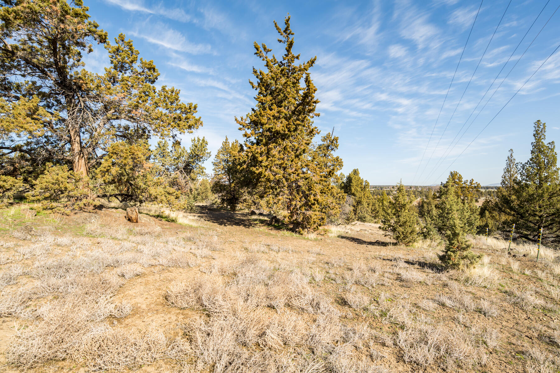 Whispering Pines - Residential