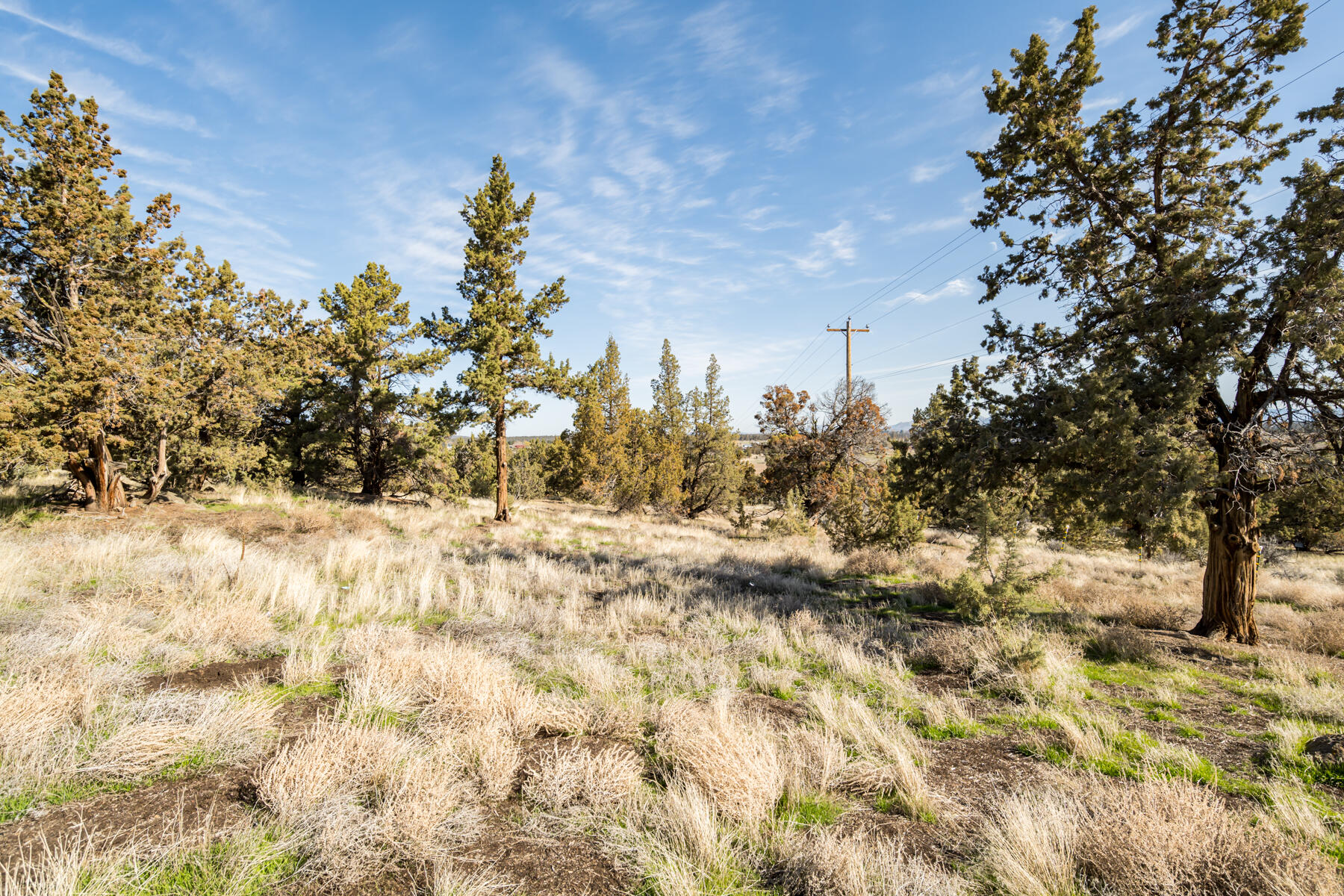Whispering Pines - Residential