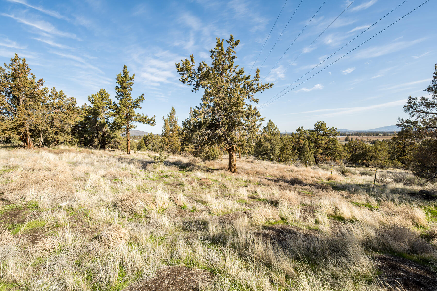 Whispering Pines - Residential