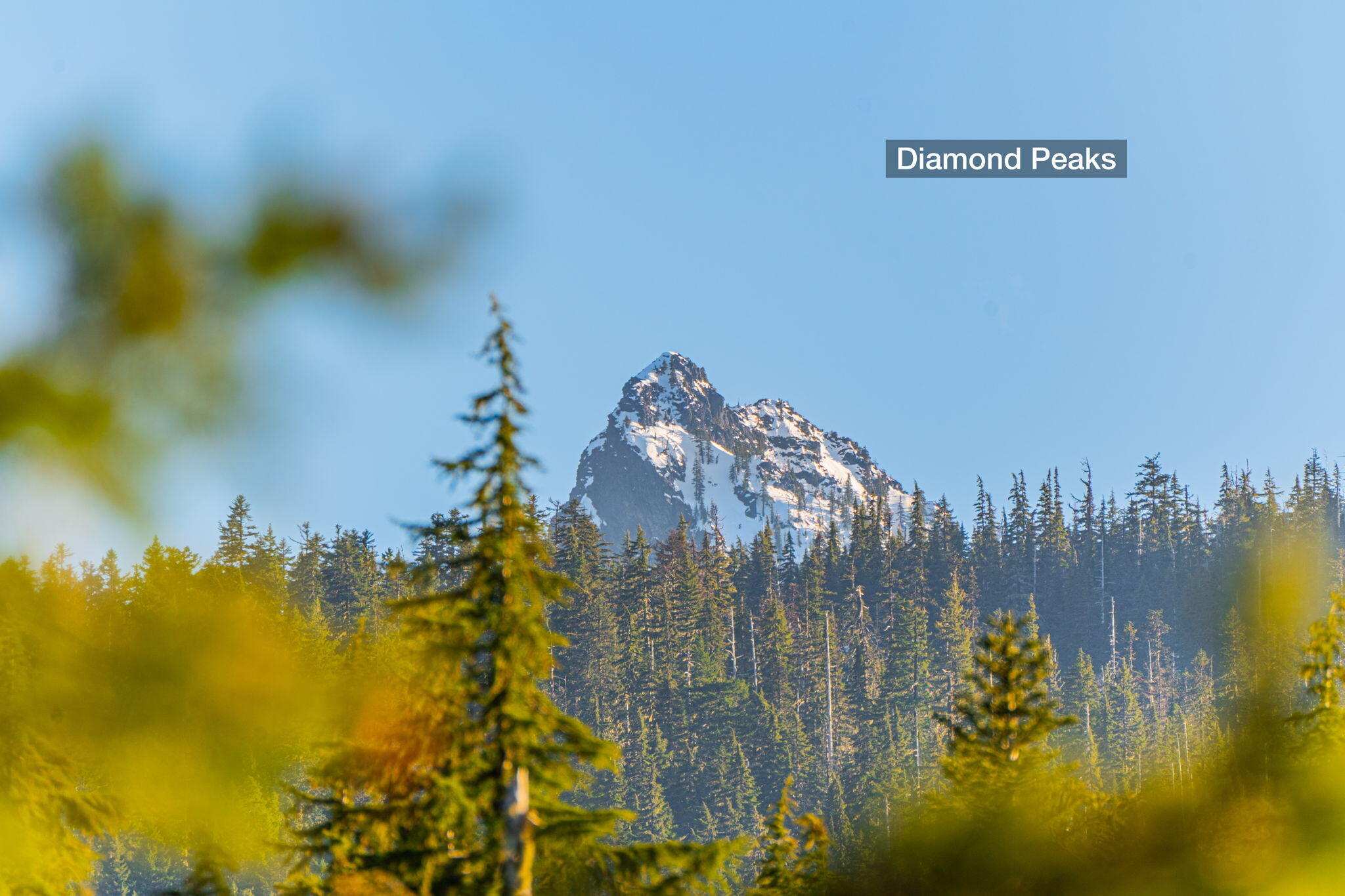Diamond Peaks - Land