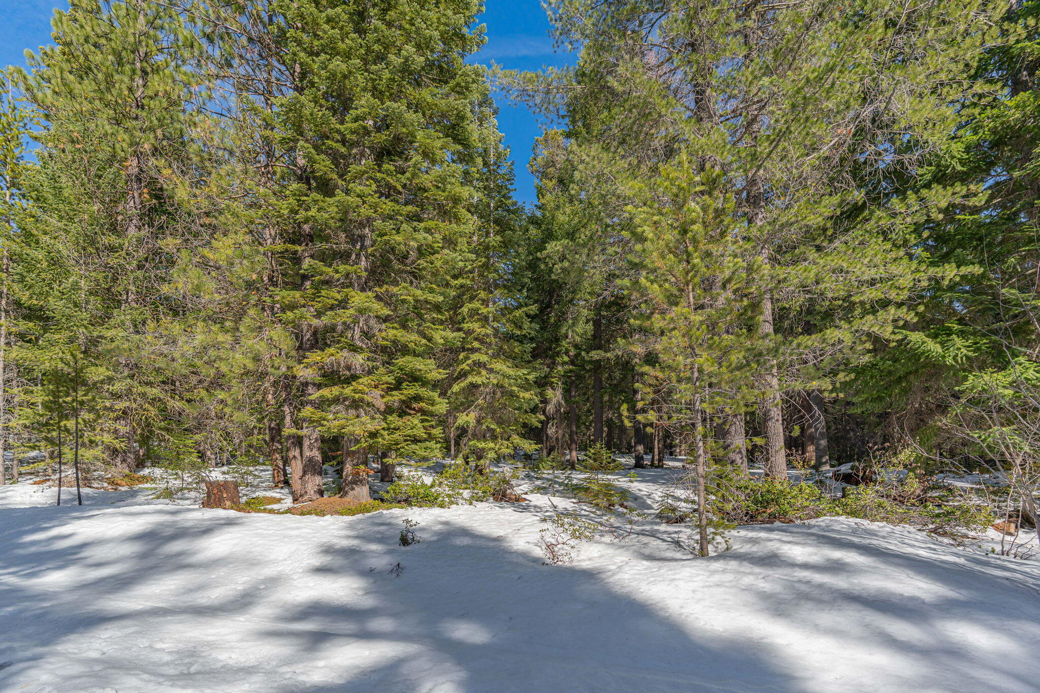 Diamond Peaks - Land