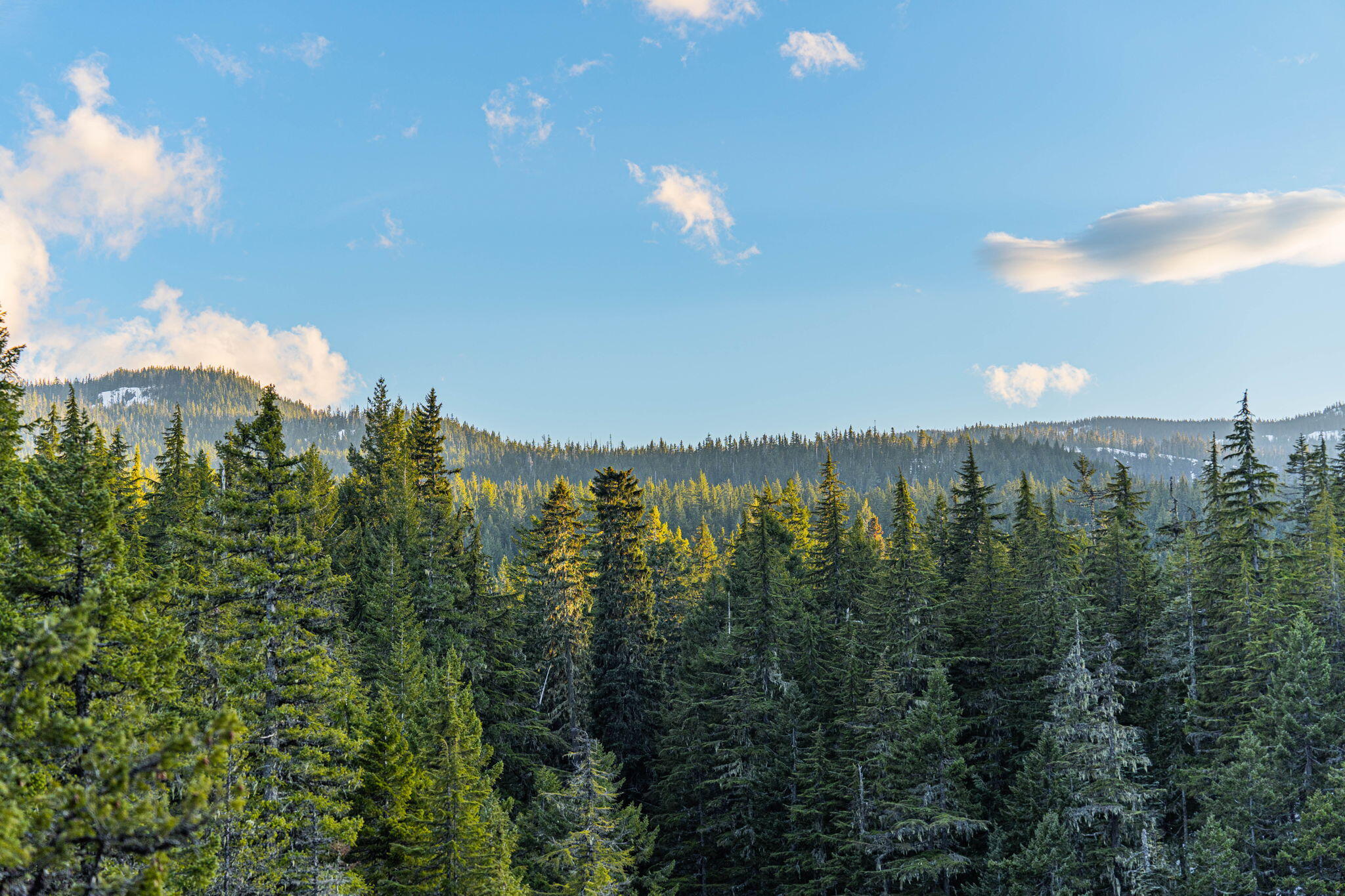 Diamond Peaks - Land