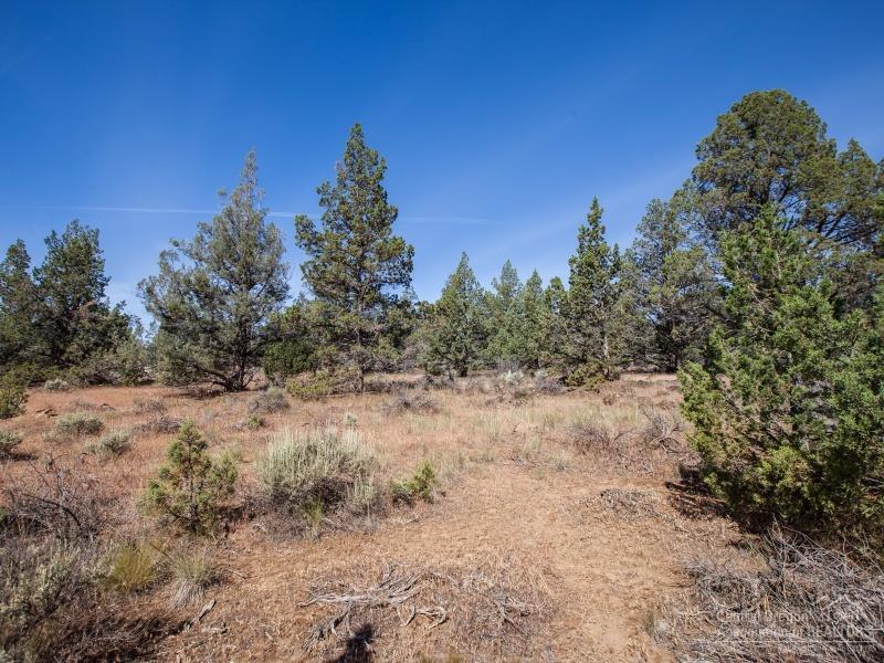 Whispering Pines - Land