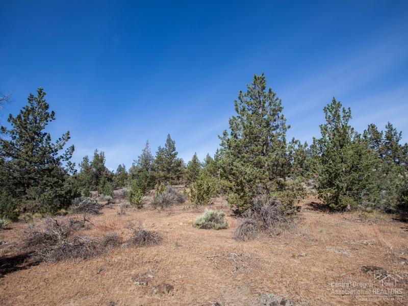 Whispering Pines - Land