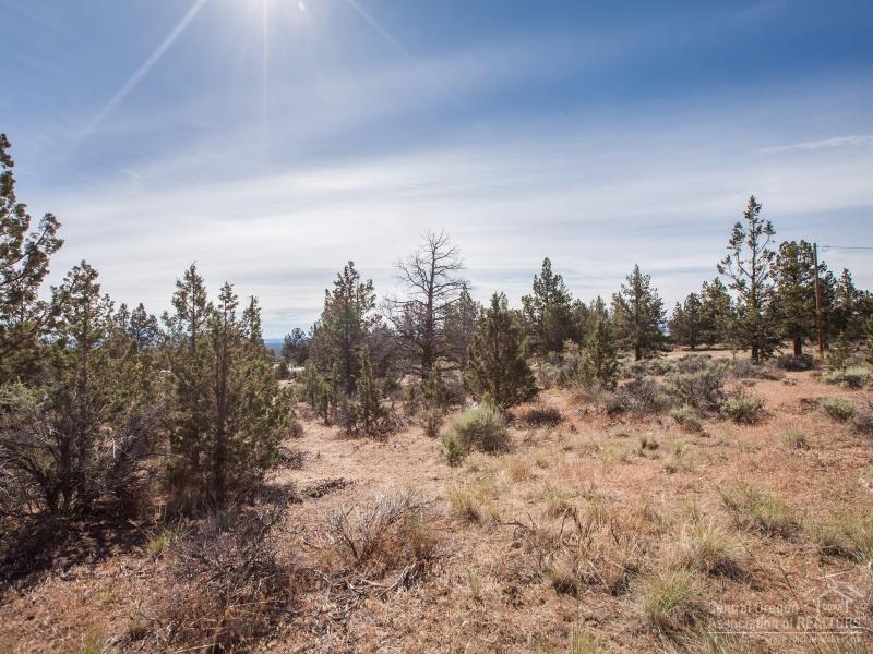 Whispering Pines - Land