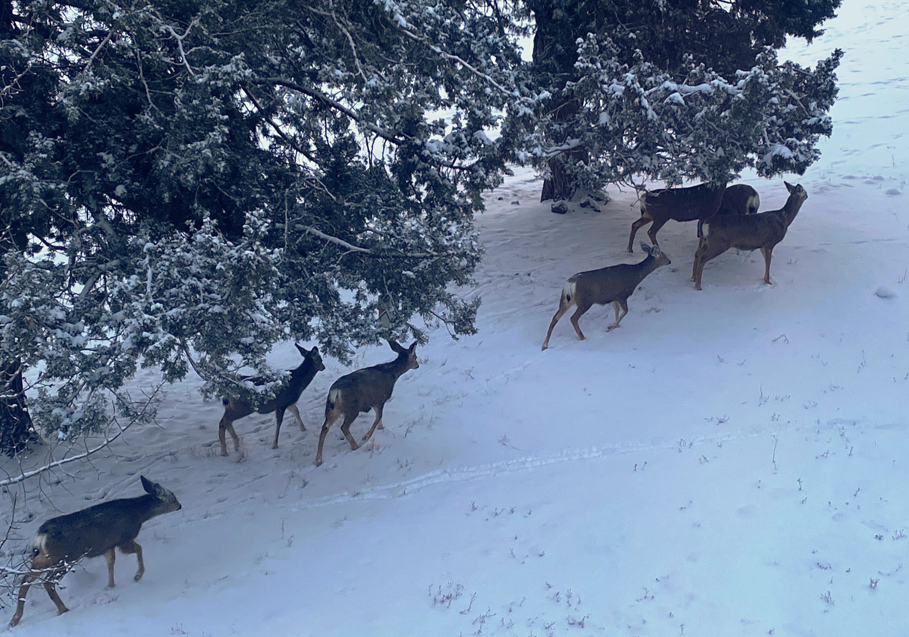 Rivers Edge Village - Residential