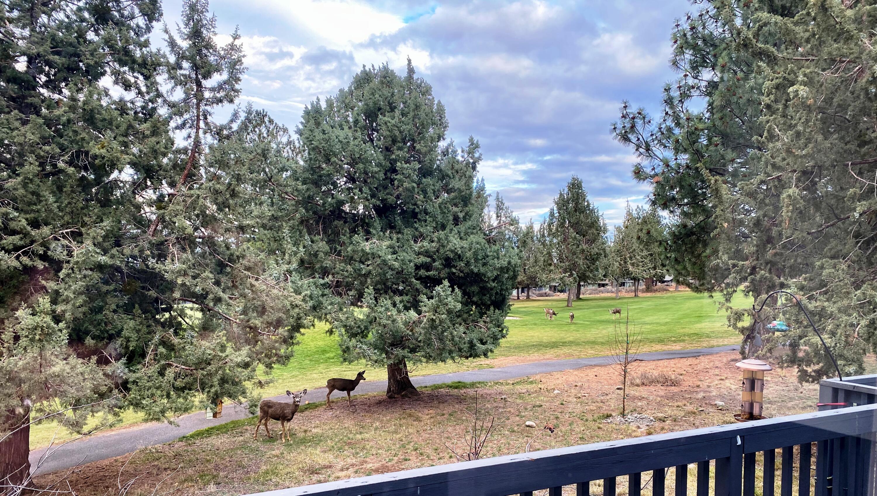 Rivers Edge Village - Residential