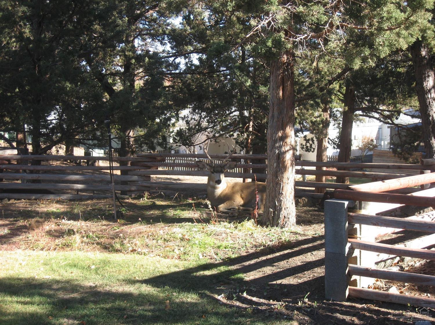Suntree Village - Residential