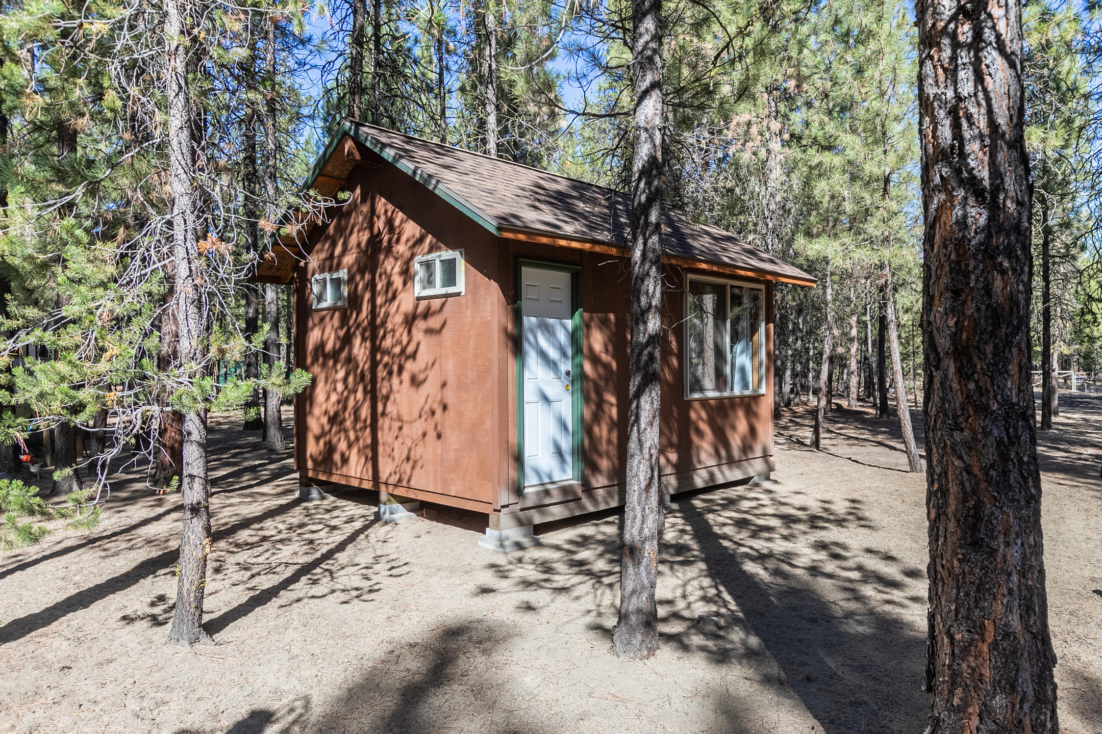 Ponderosa Pines - Land