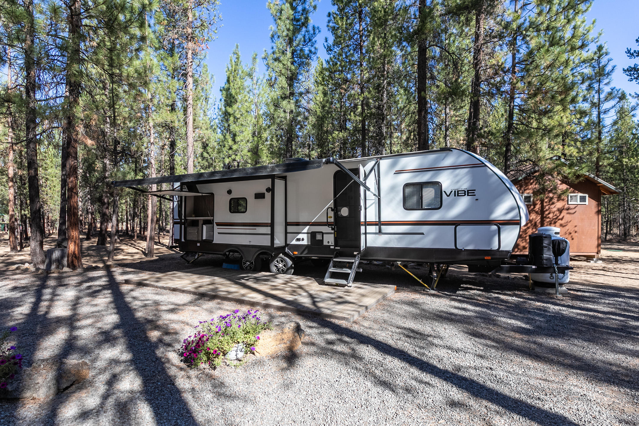 Ponderosa Pines - Land