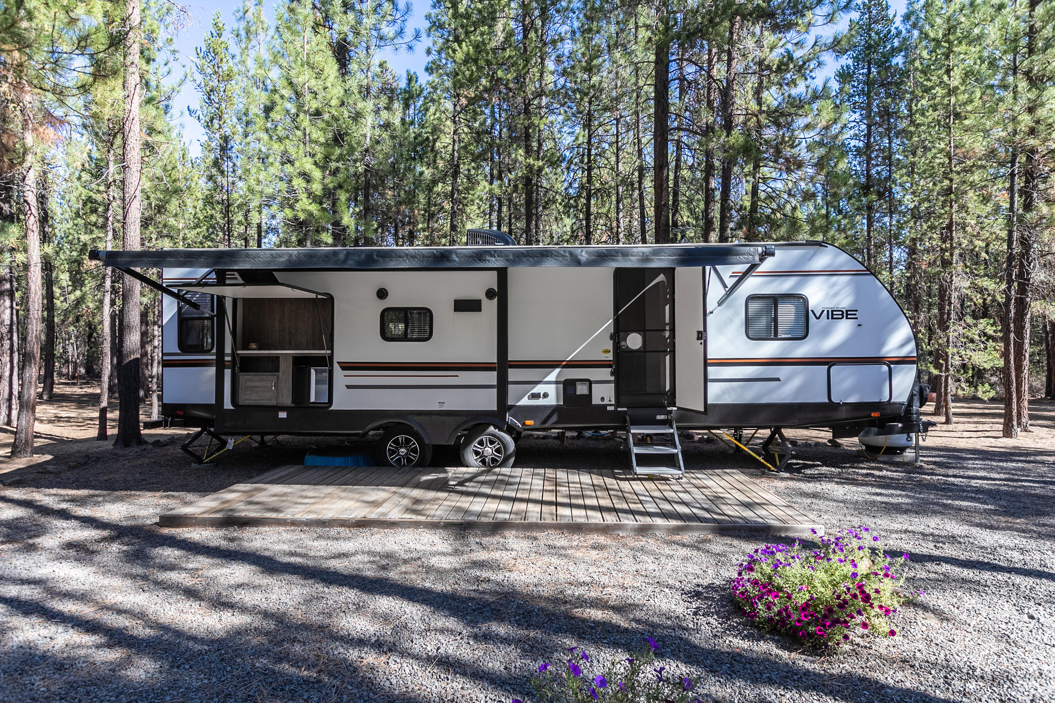 Ponderosa Pines - Land