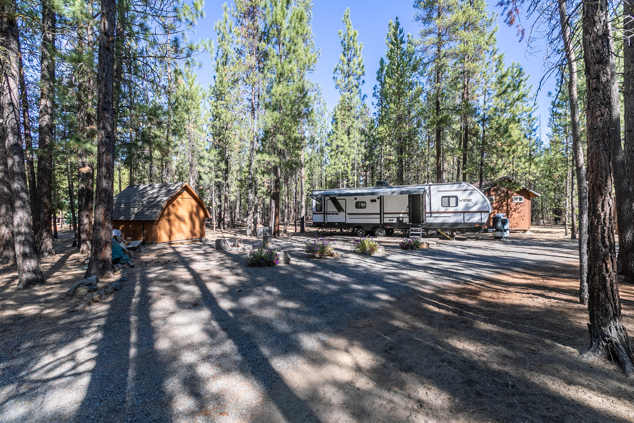 Ponderosa Pines - Land
