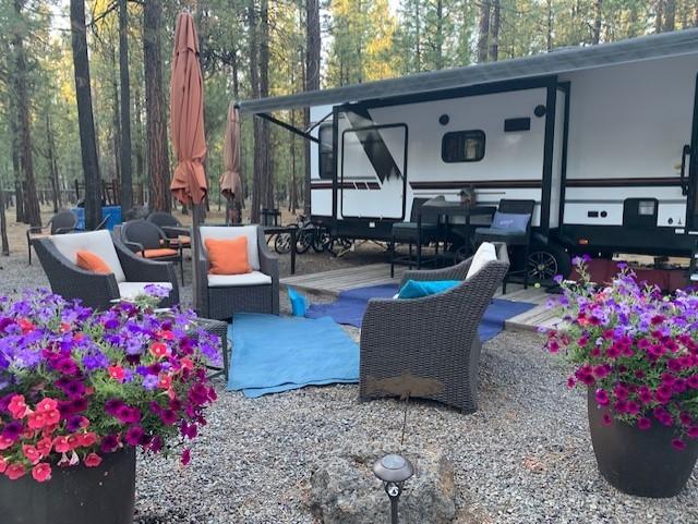 Ponderosa Pines - Land