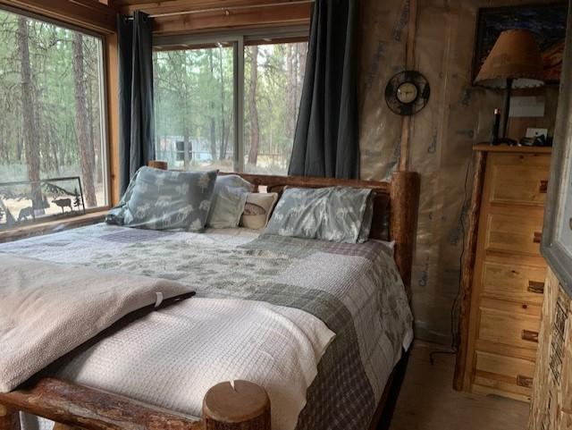 Ponderosa Pines - Land