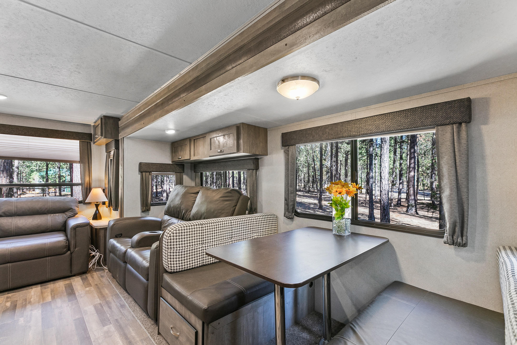 Ponderosa Pines - Land