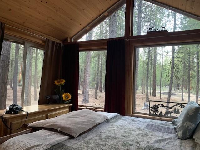 Ponderosa Pines - Land
