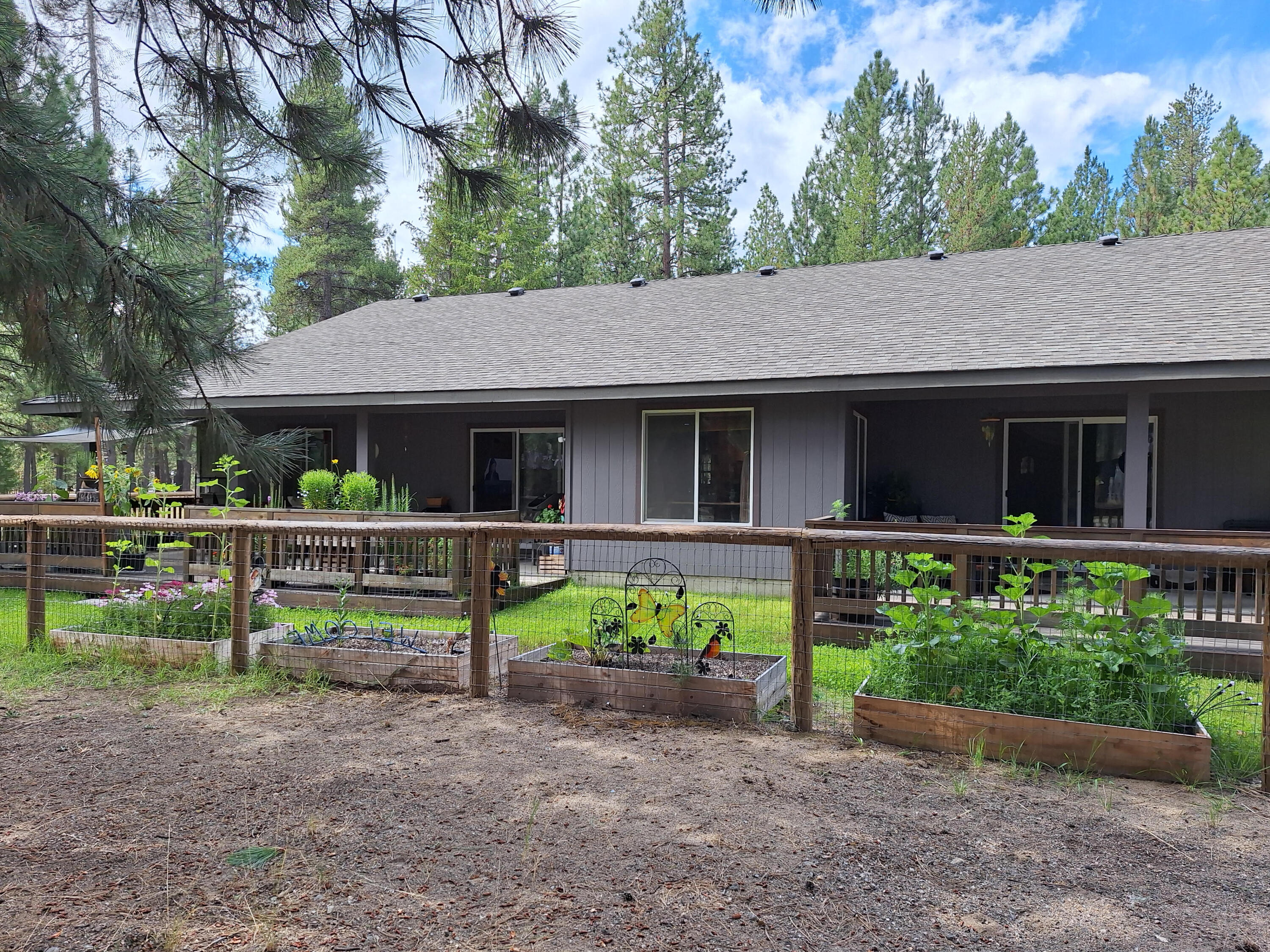 Ponderosa Pines - Residential