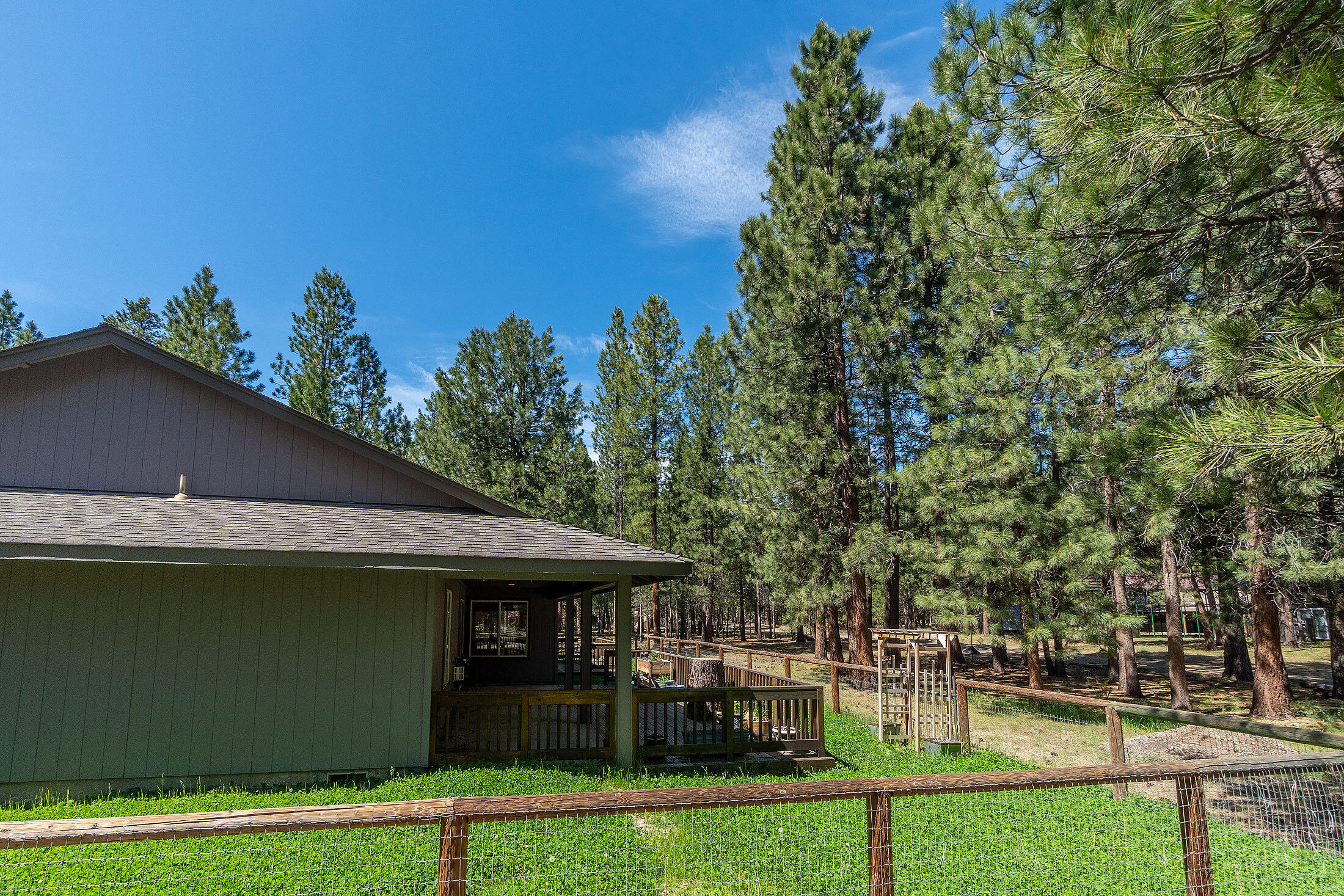 Ponderosa Pines - Residential