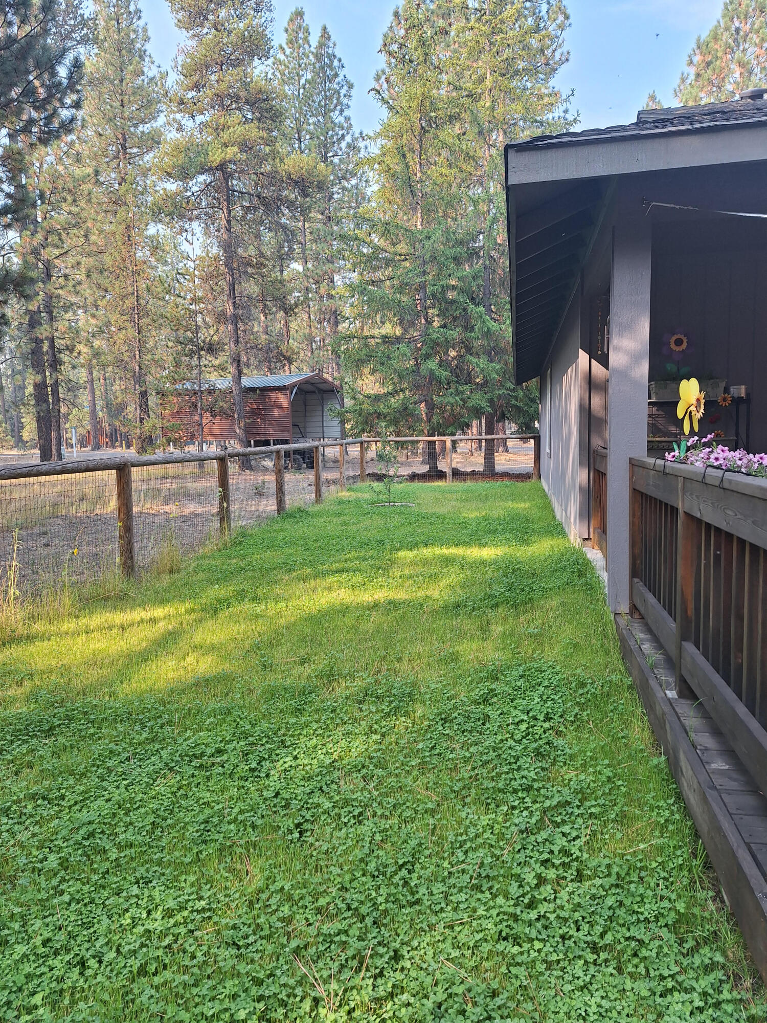 Ponderosa Pines - Residential