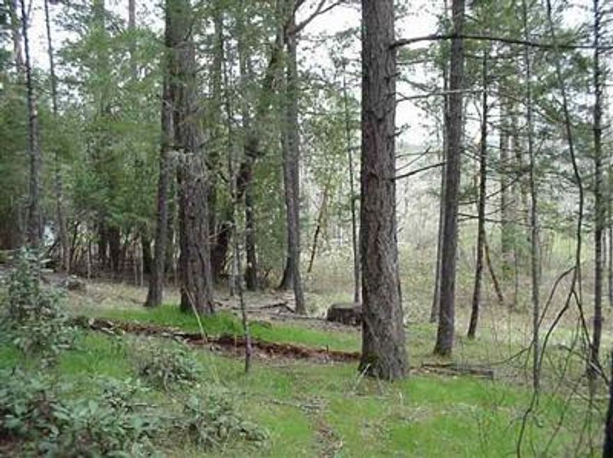 LOVELY KNOLL BUILDING SITE. VERY HARD TO FIND 2.5 acres, half woods & half meadow below on a paved county road near the Rogue River & public launch ramp. The setting is great. Septic approval prior to close - in progress: neighbor has 11.8 GPM well on recent 4 hour test. *Part of Tax Lot 410 until lot partition final.