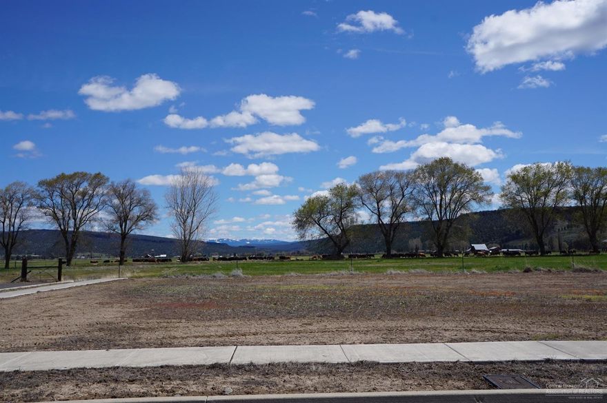 Crystal Springs subdivision ready for your custom home. Close to town and shopping and restaurants and a short distance to Ochoco Reservoir. Services at the lot line, city water, city sewer, power, phone, cable and natural gas.