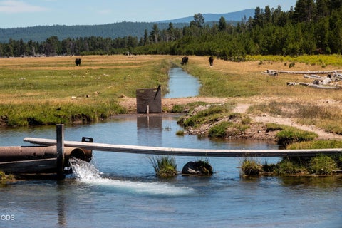 Tiny photo for 1950 Silver Lake Road, Chiloquin, OR 97624 (MLS # 220224582)