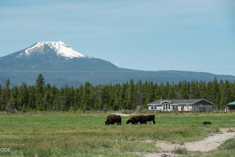 Tiny photo for 1950 Silver Lake Road, Chiloquin, OR 97624 (MLS # 220224582)