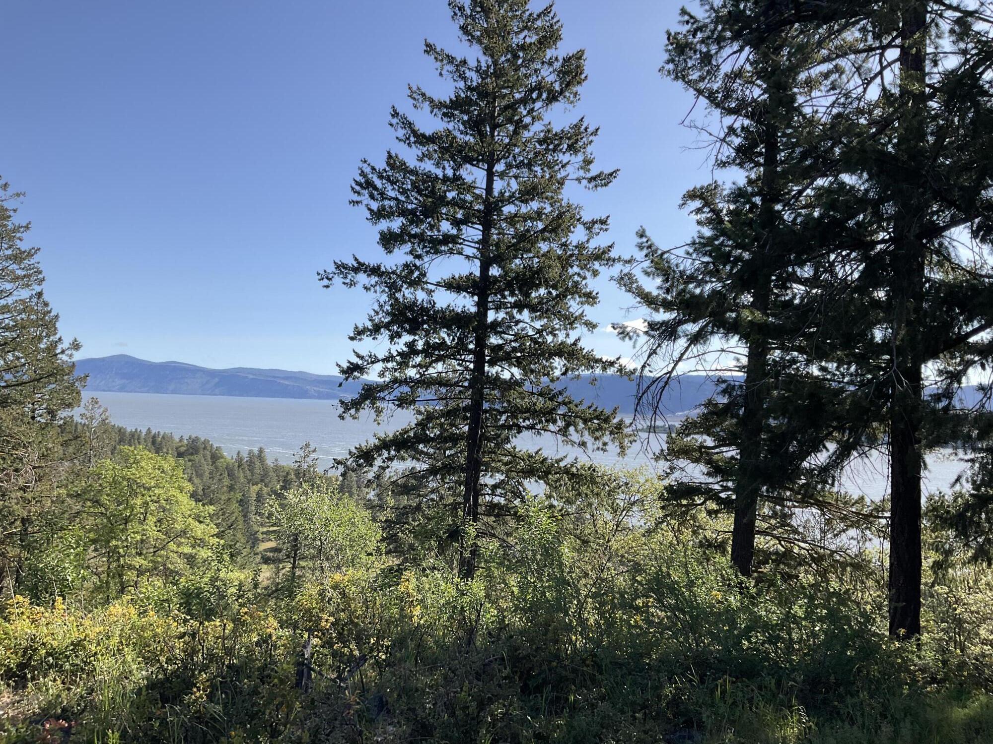 Running YResort - Land