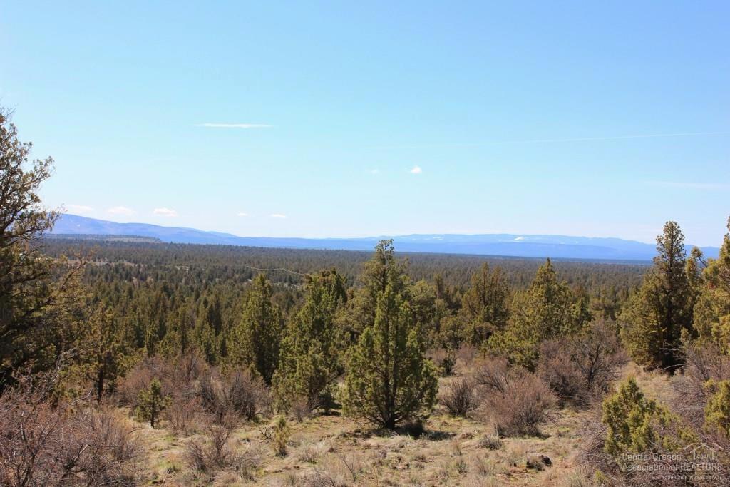 Longhorn Ridge - Land