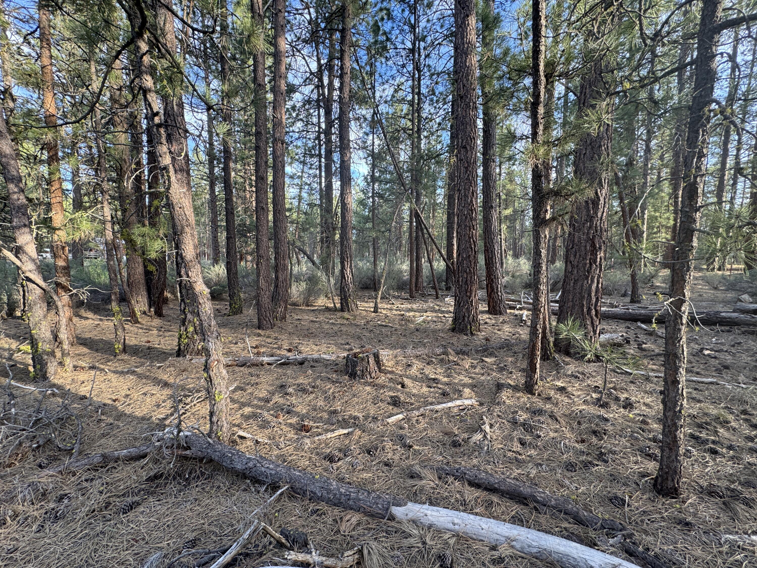 Silver Fox Lane Lot 13