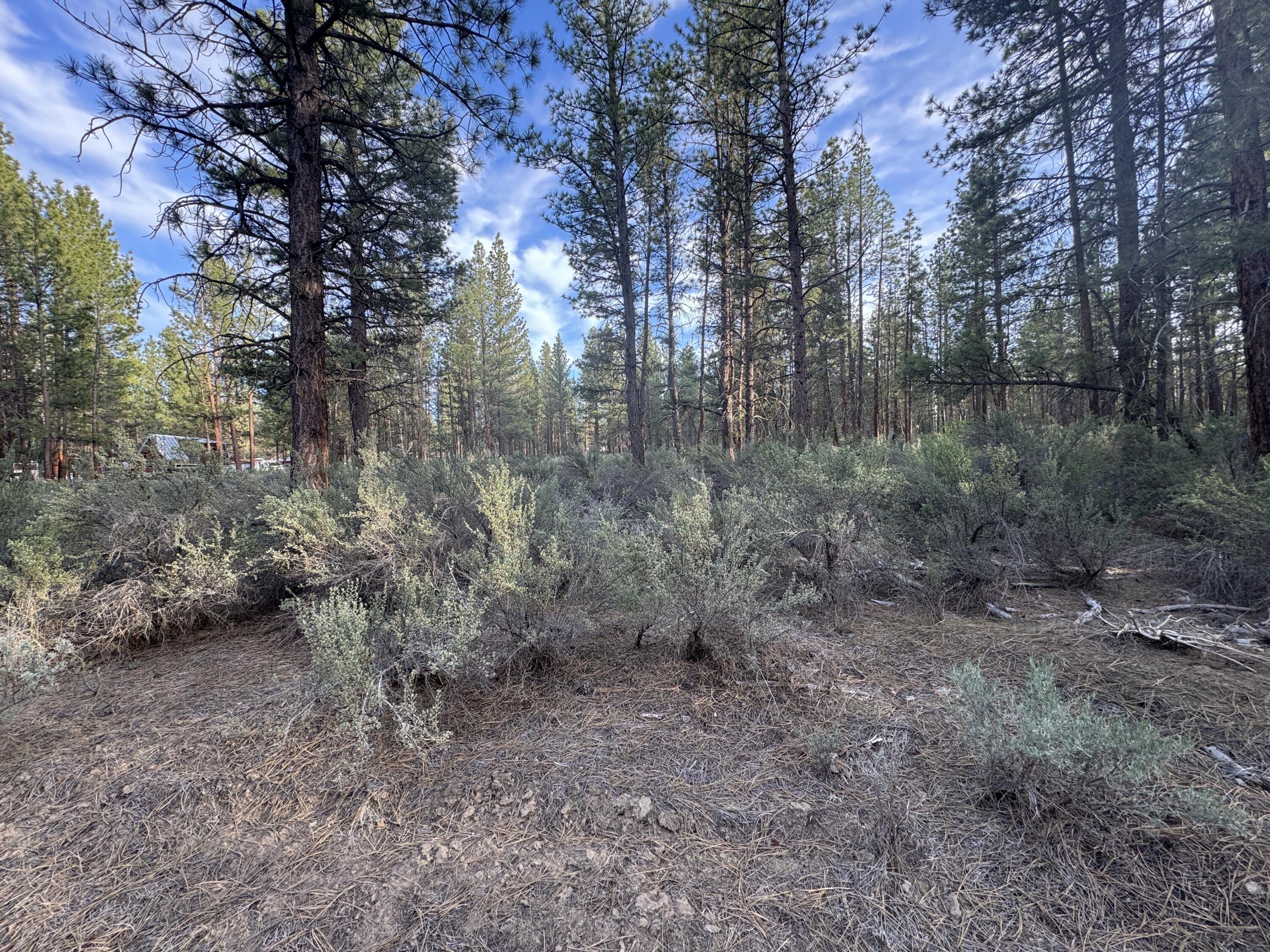 Silver Fox Lane Lot 13