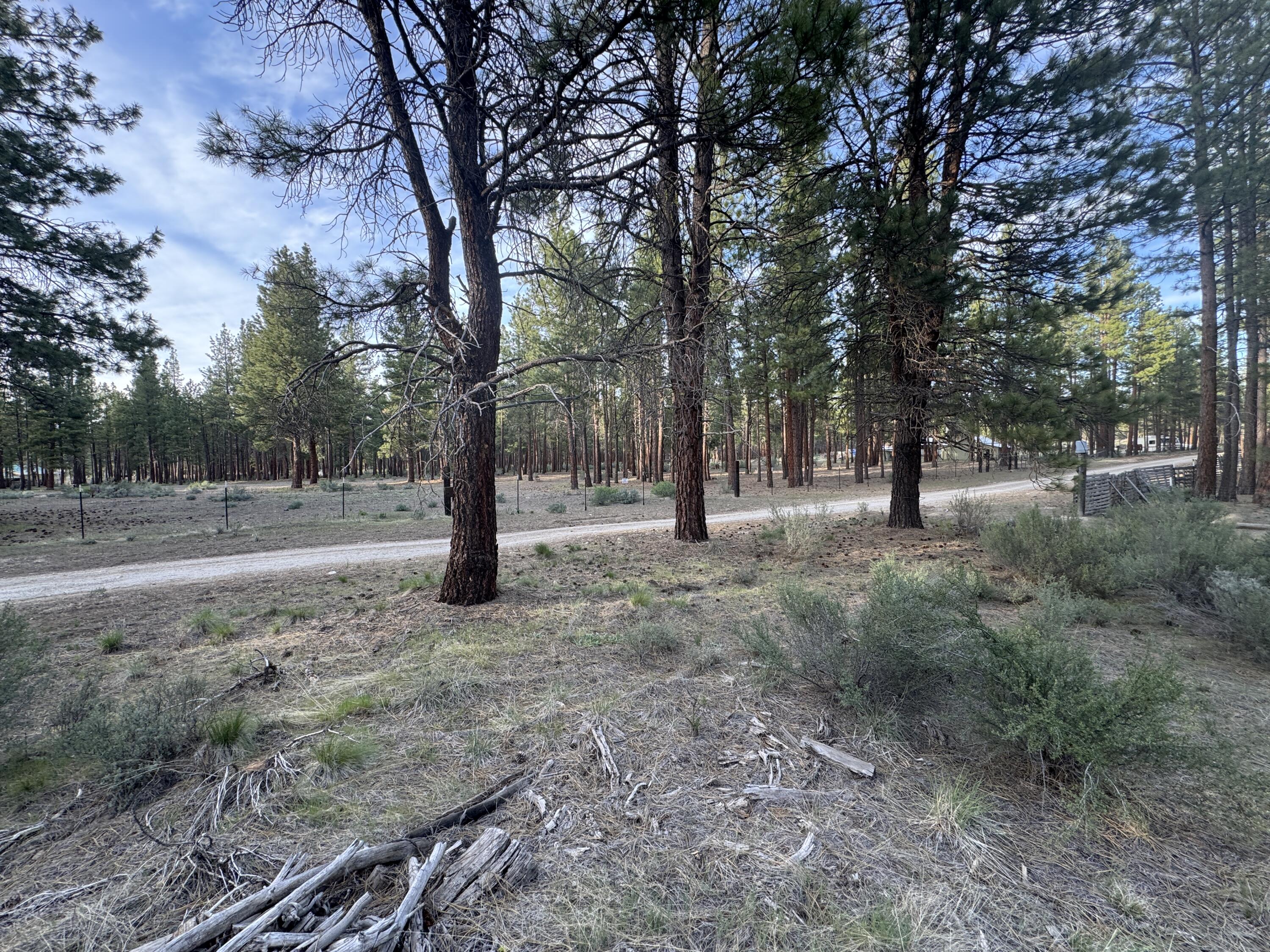 Silver Fox Lane Lot 13