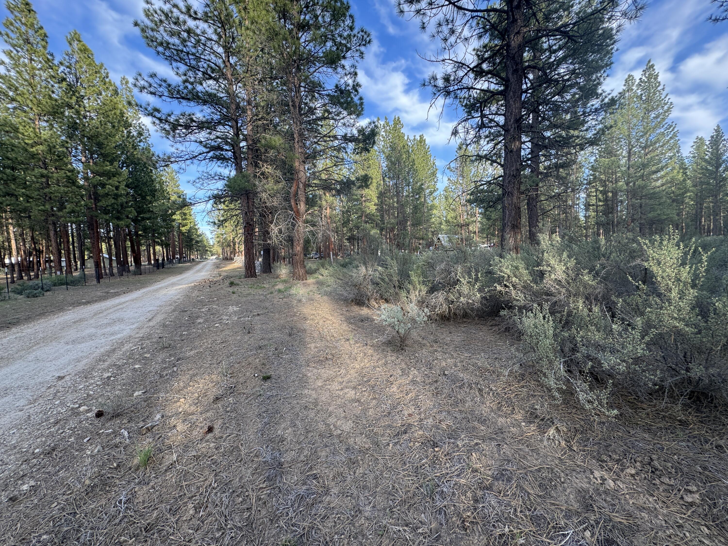 Silver Fox Lane Lot 13