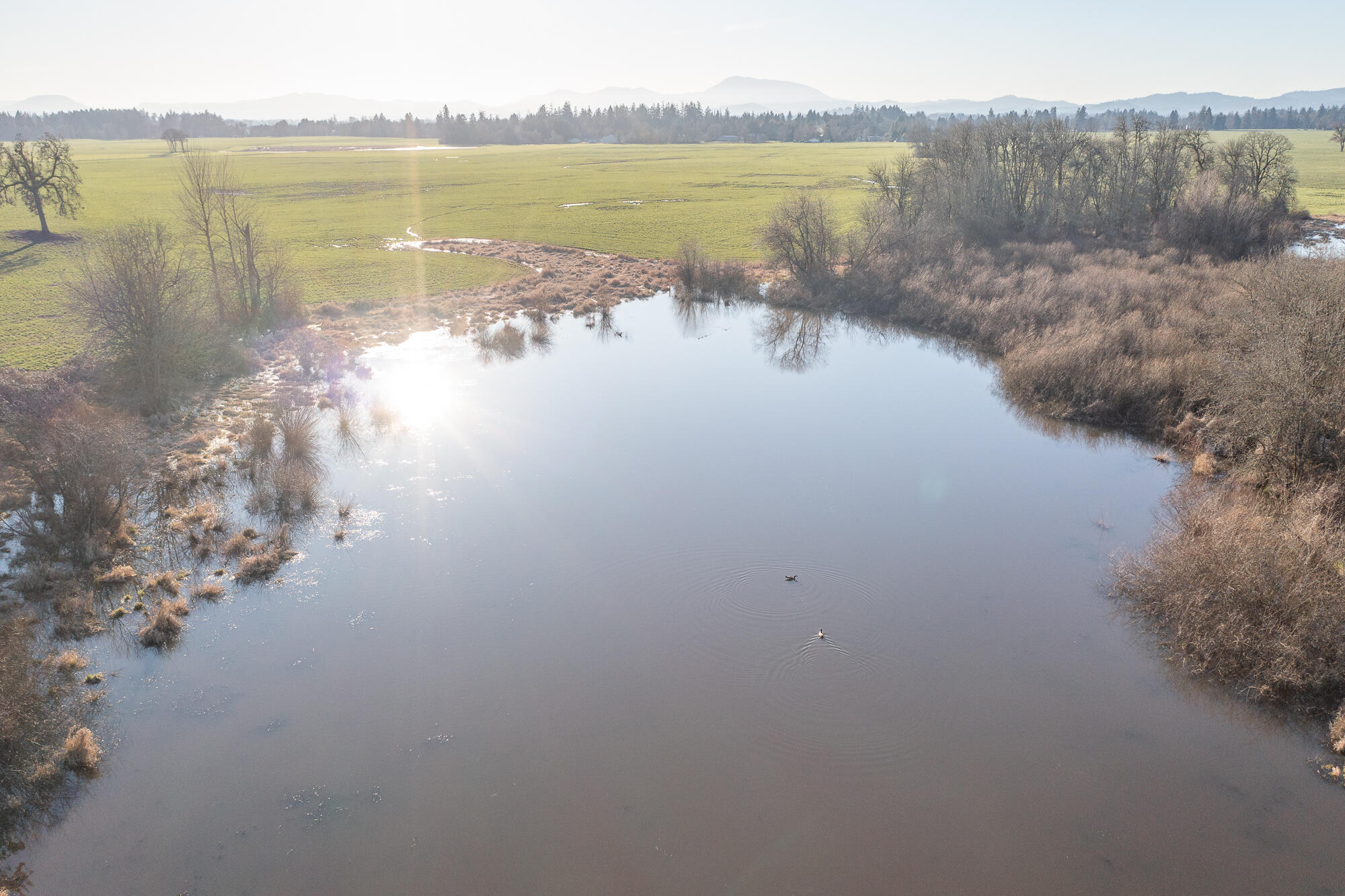 White Oaks Addition - Residential