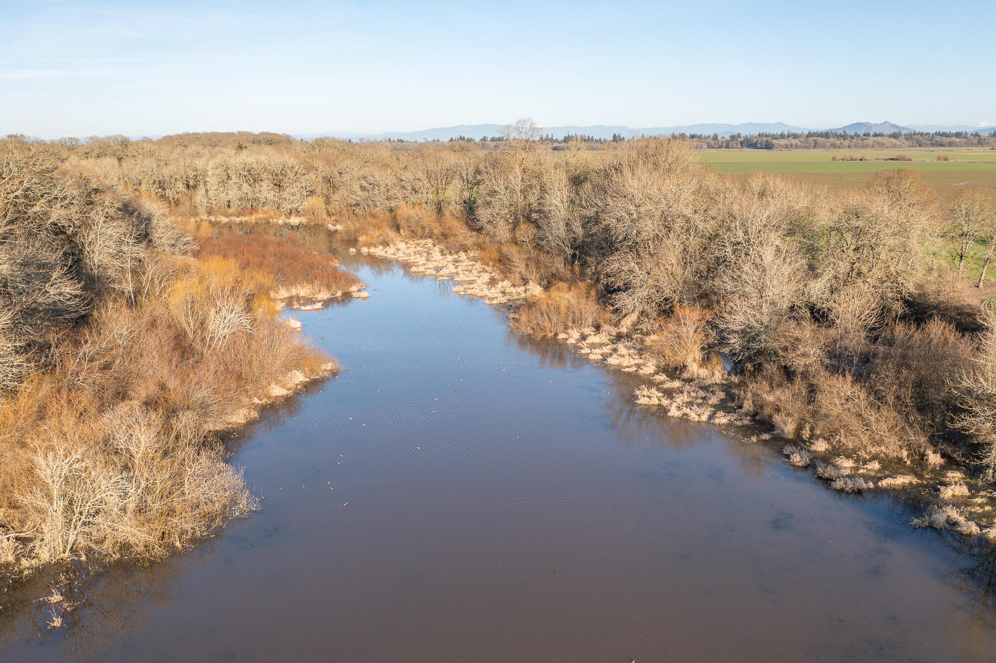 White Oaks Addition - Residential