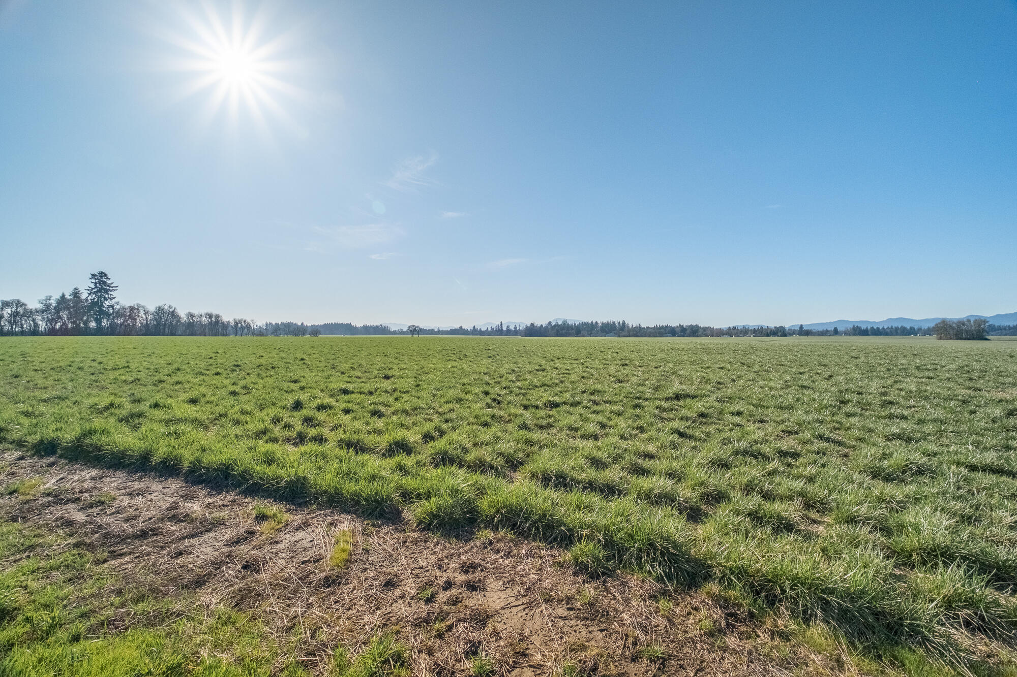 White Oaks Addition - Residential