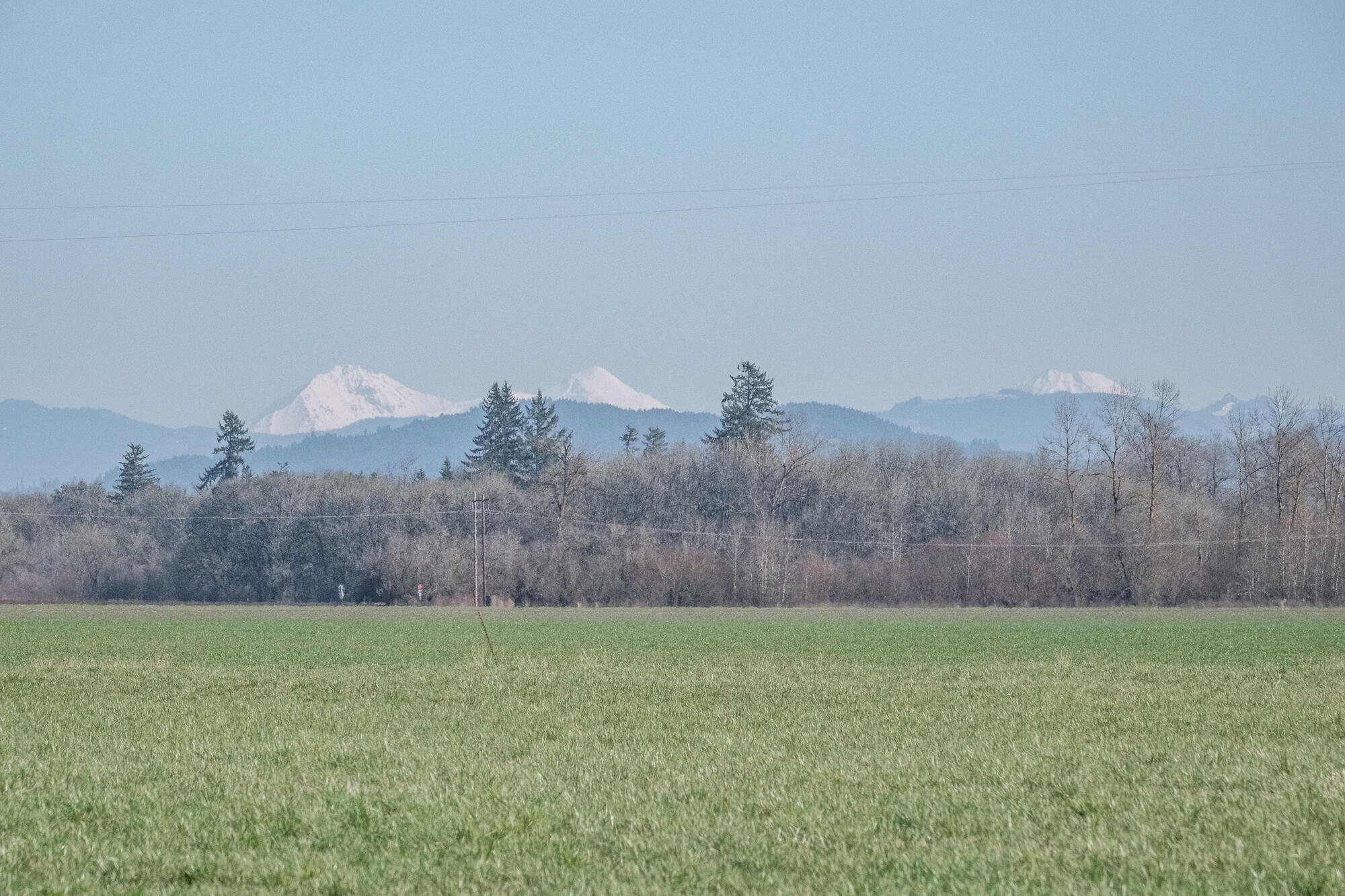 White Oaks Addition - Residential