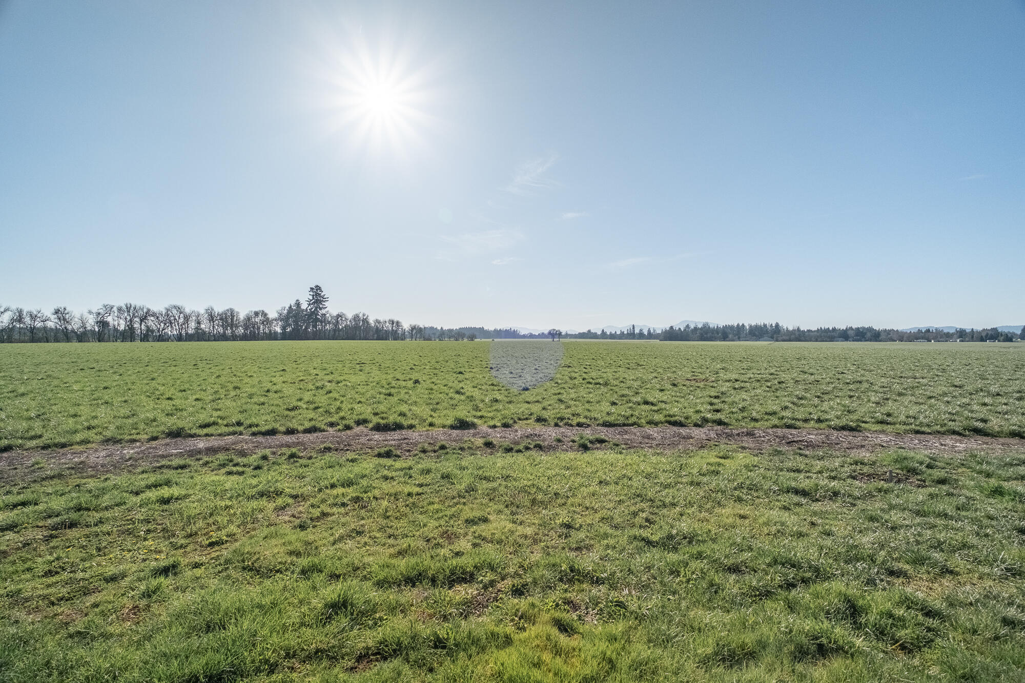 White Oaks Addition - Residential