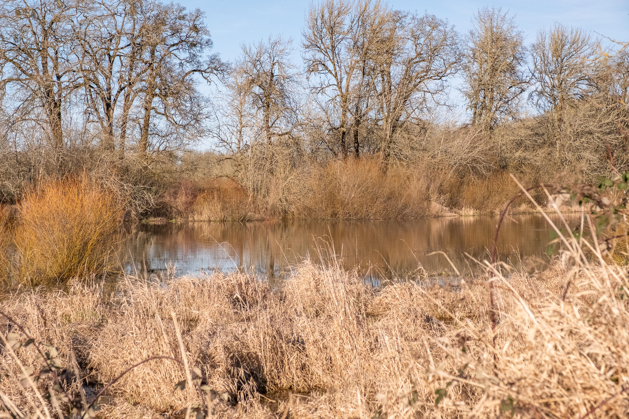 White Oaks Addition - Residential