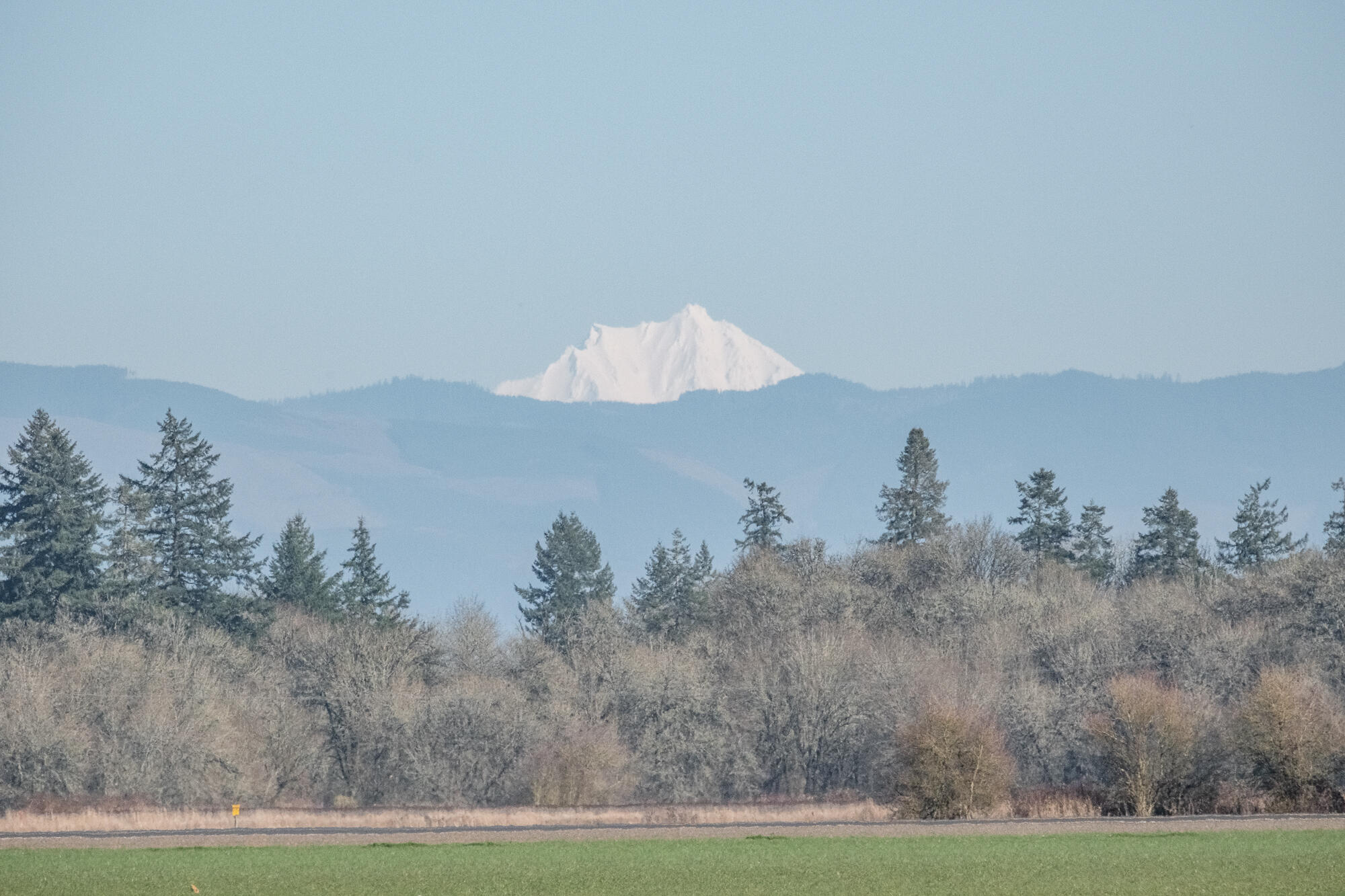 White Oaks Addition - Residential