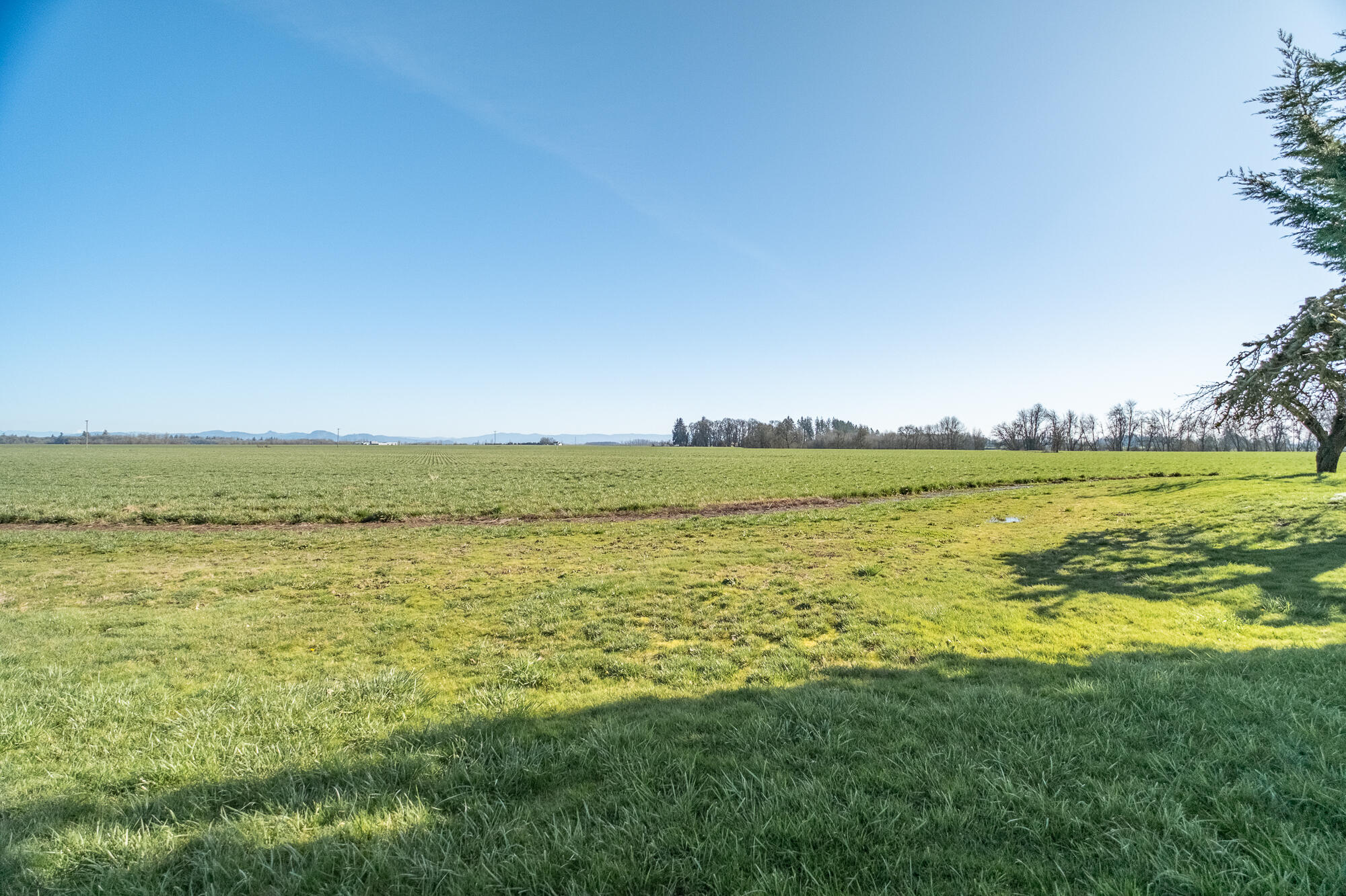 White Oaks Addition - Residential