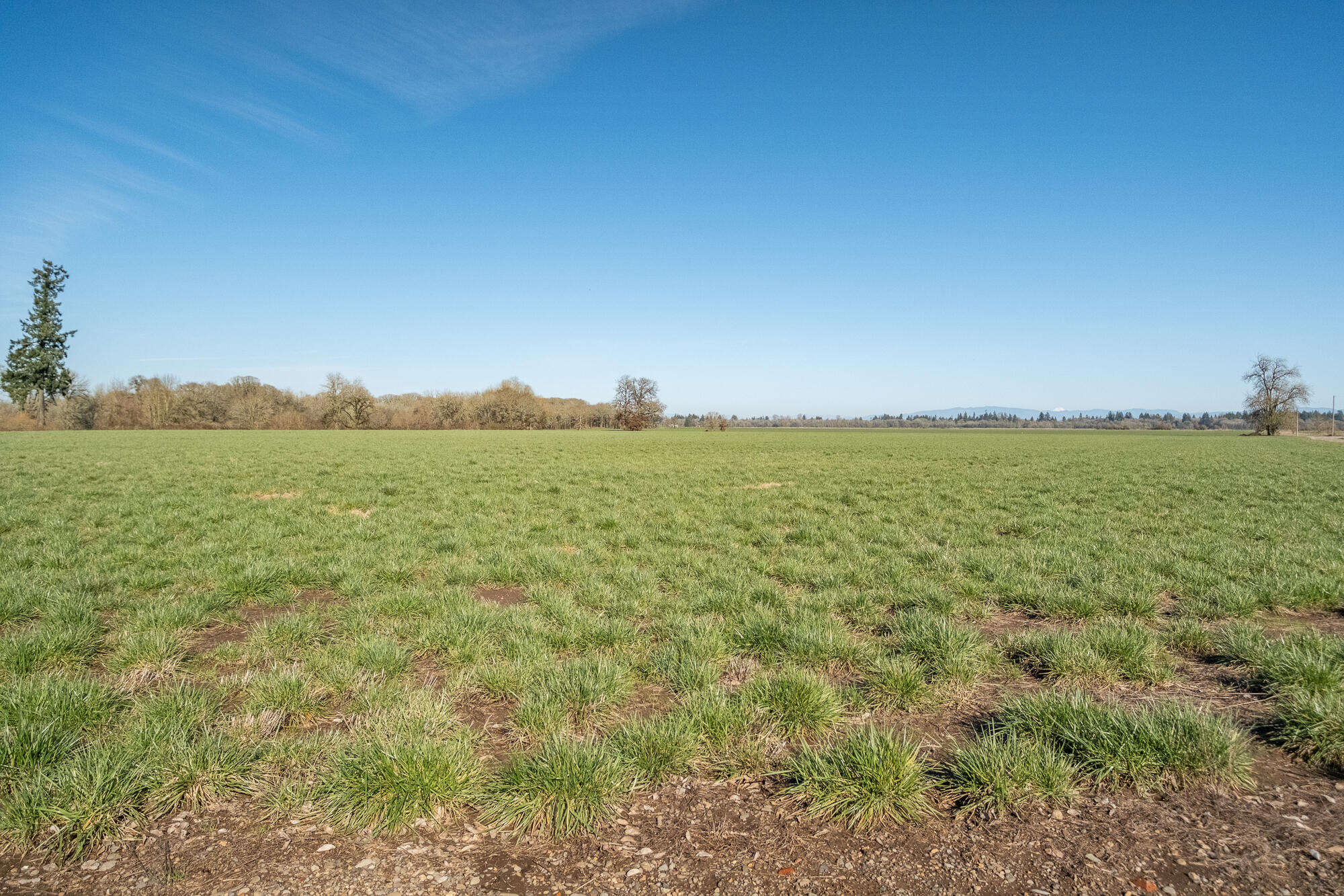 White Oaks Addition - Residential
