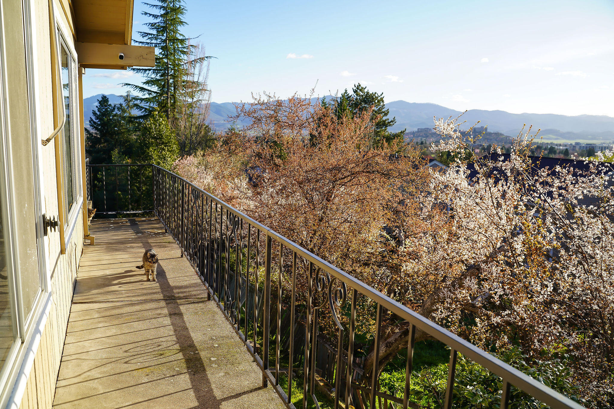 Bel Air Heights - Residential