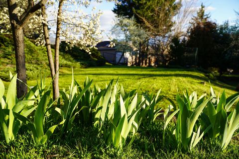 Tiny photo for 3676 Princeton Way, Medford, OR 97504 (MLS # 220210679)