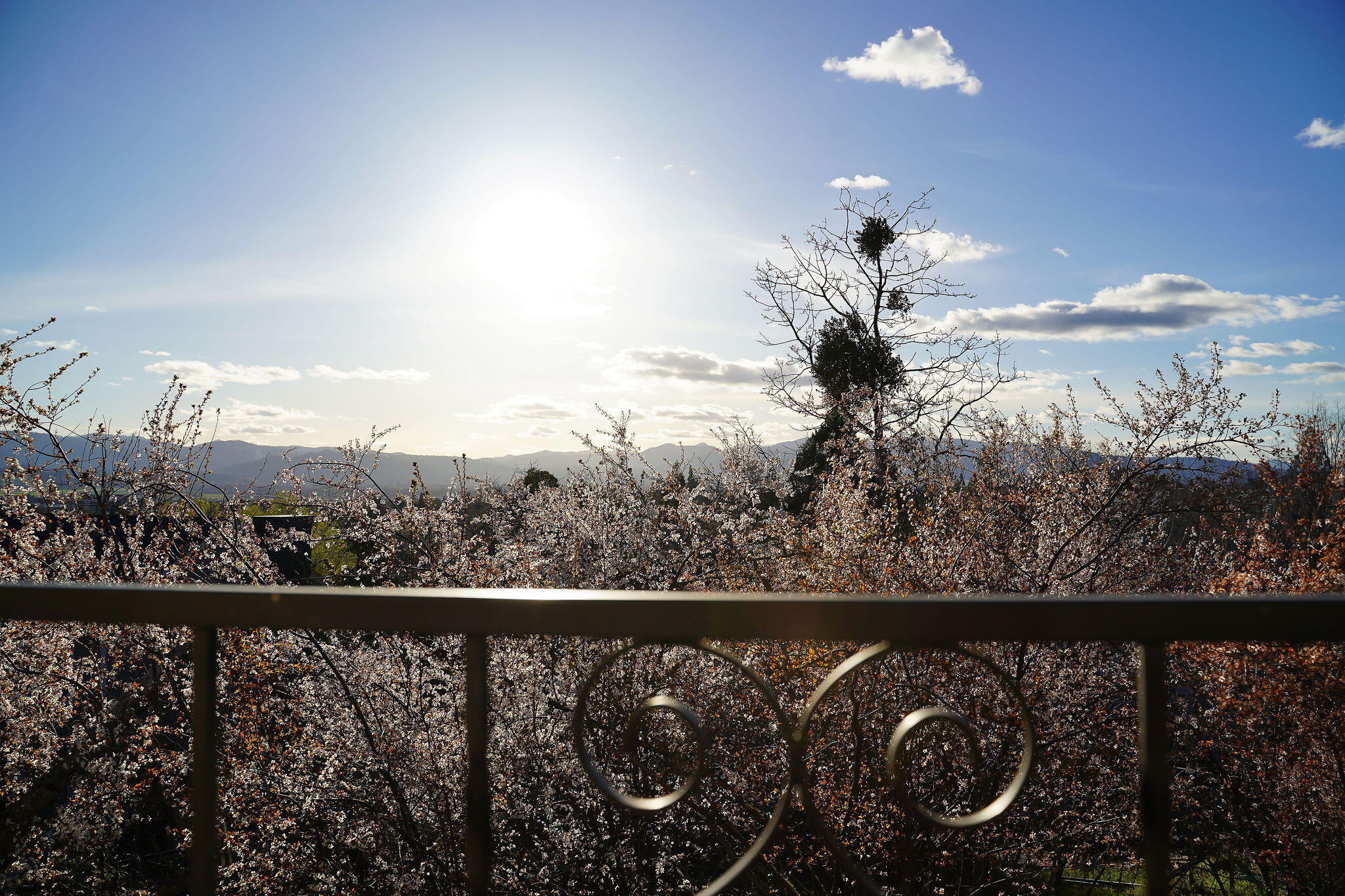 Bel Air Heights - Residential