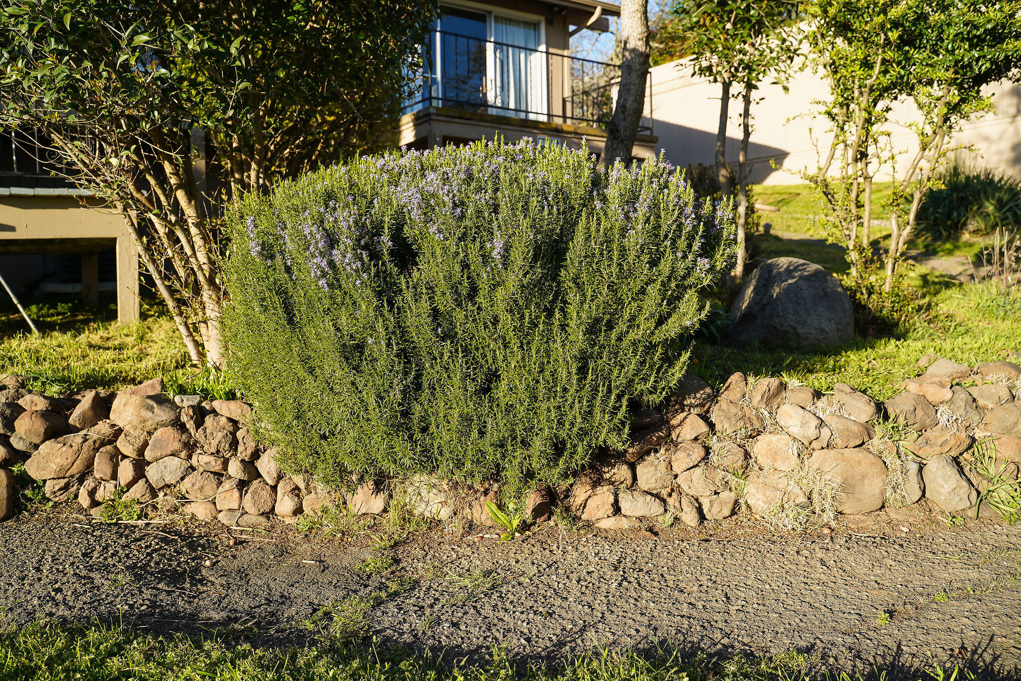 Bel Air Heights - Residential