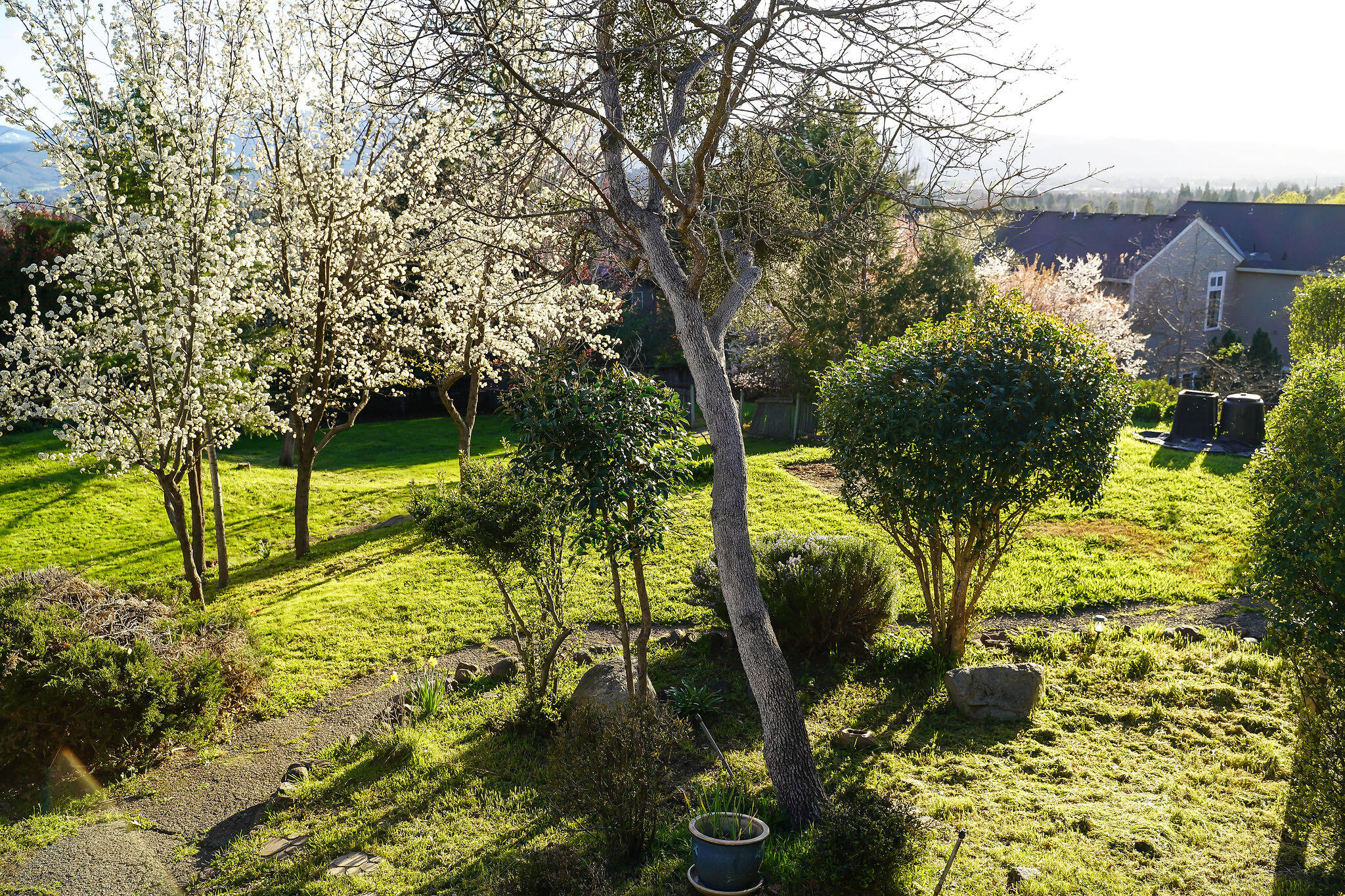 Bel Air Heights - Residential