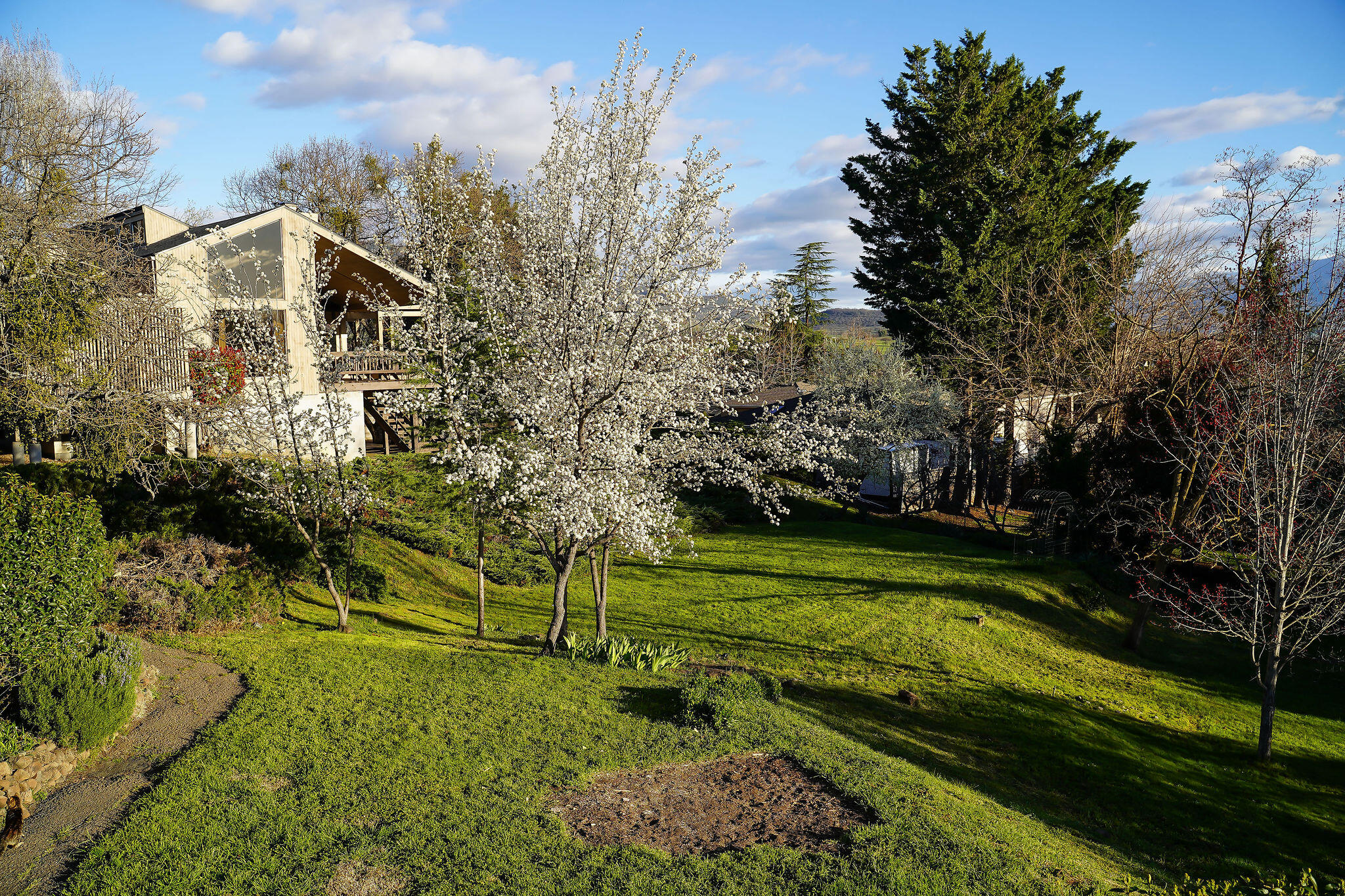 Bel Air Heights - Residential