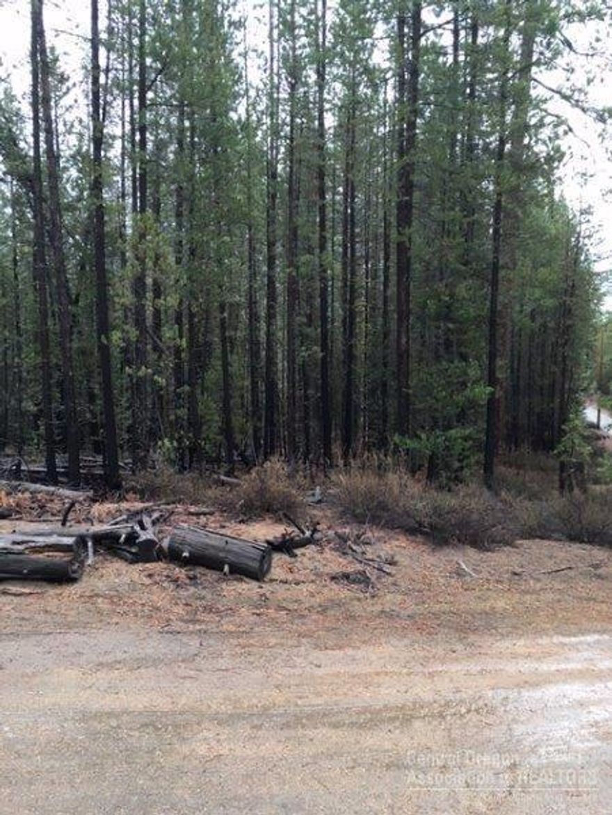 Want privacy and 5 acres? This is the property for you! Heavily treed acreage in the Schoonover area. Needs well & septic feasibility. Make an offer--this won't last long!